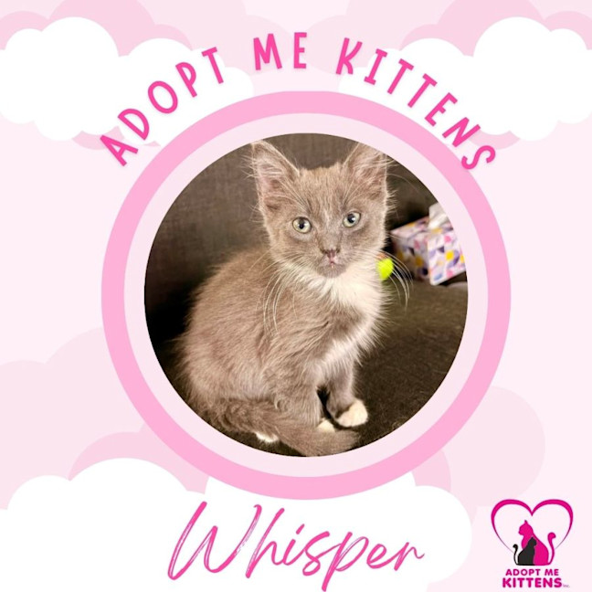 Photo of Whisper