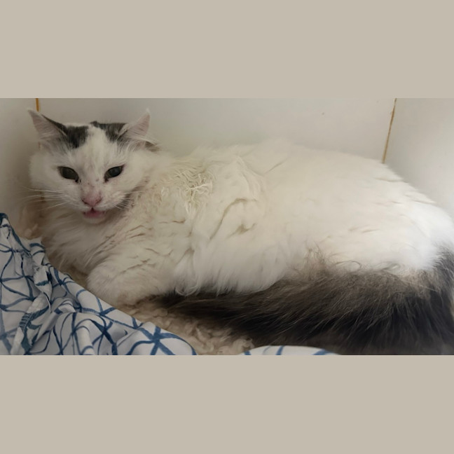 Photo of Winnie