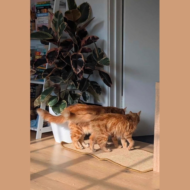 Photo of Barnaby & Rosie 