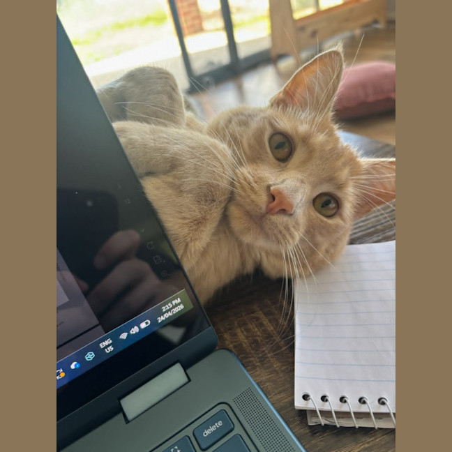 Photo of Milo