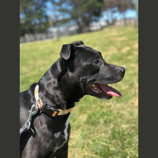 Photo of 🍂 Sienna 5634 🍂