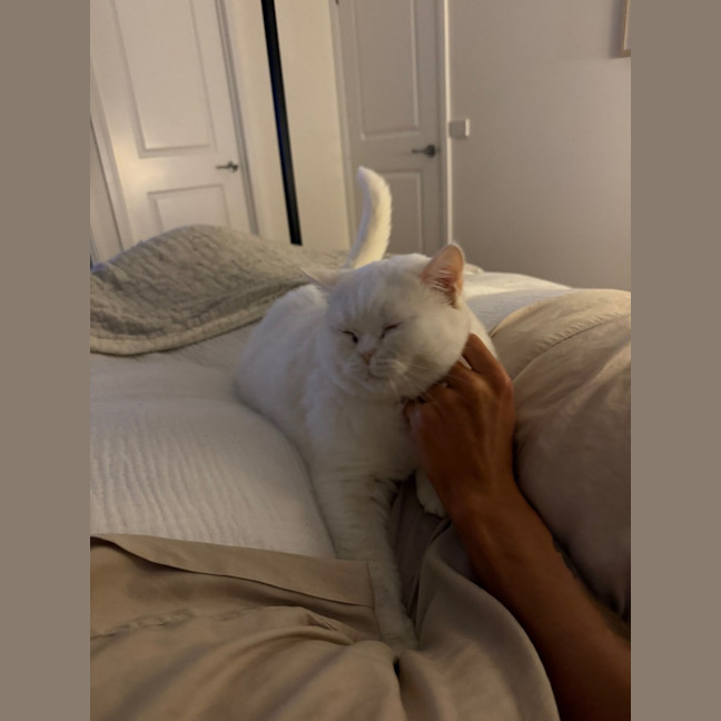 Photo of Yuki
