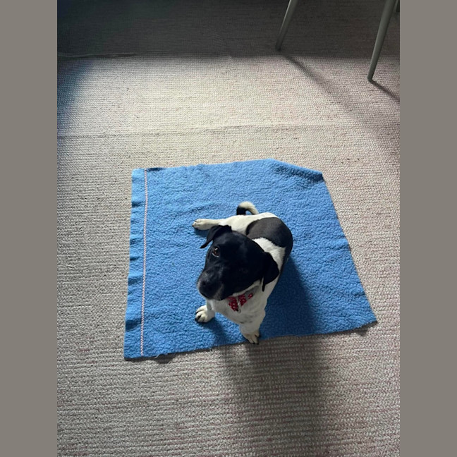 Photo of Jack