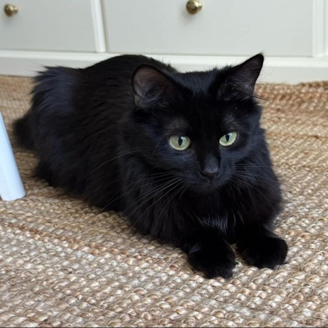 Photo of Naomi 
