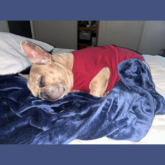 Photo of Luna Wensleydale