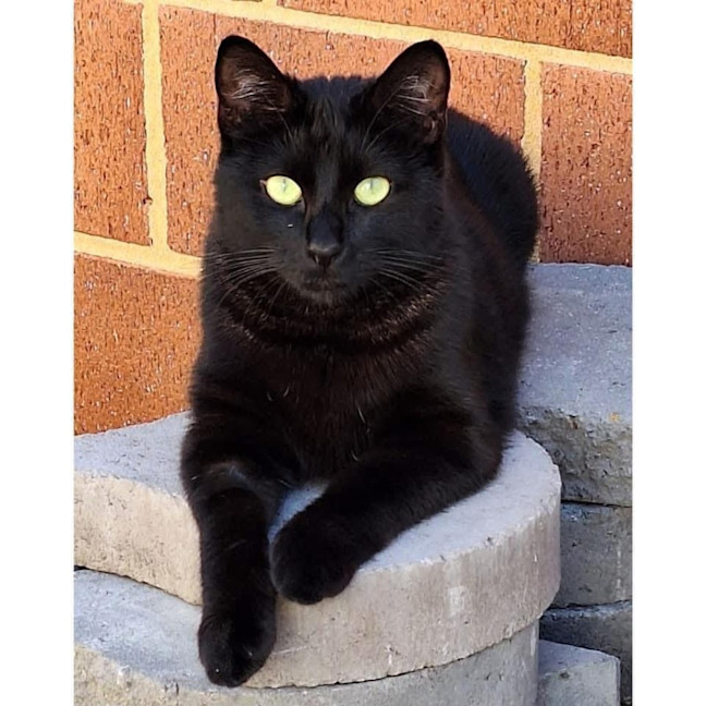 Photo of 10243   Miri