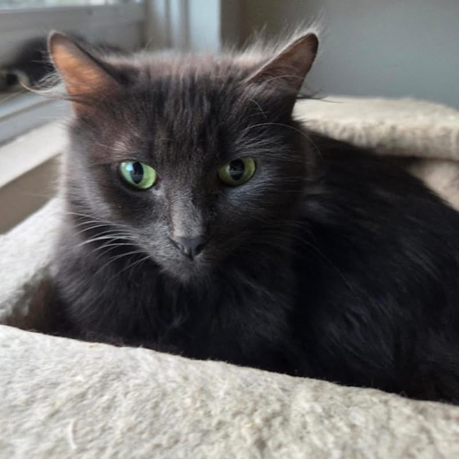 Photo of Alley