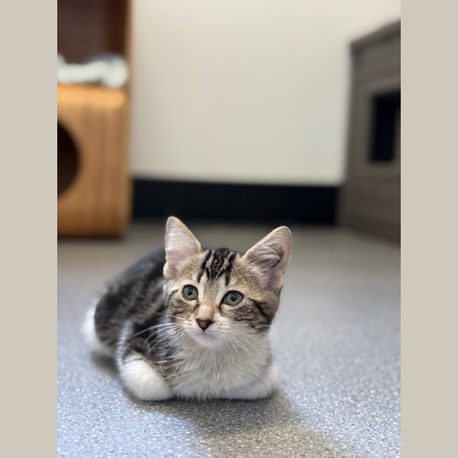 Photo of Mimi
