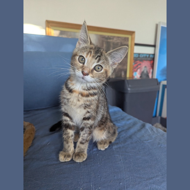 Photo of Blanche Golden