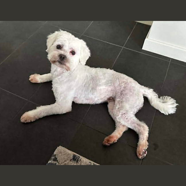 Photo of Mollie