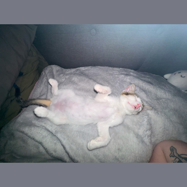 Photo of Lexii