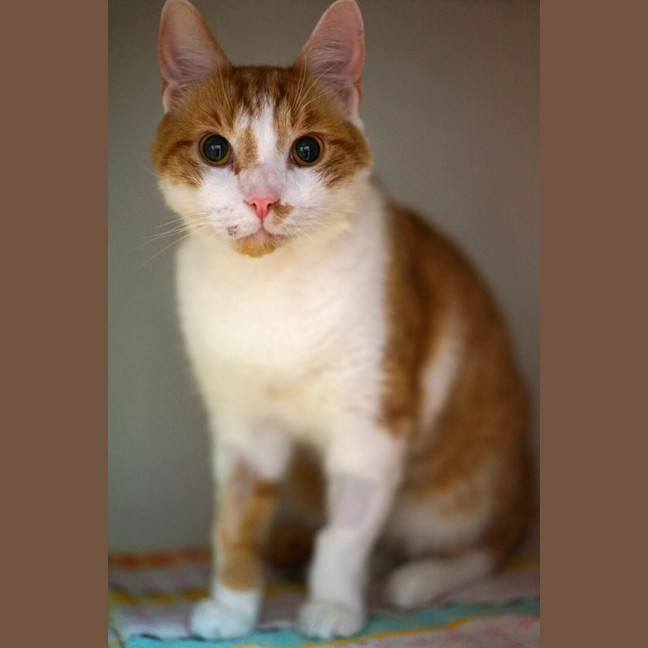 Photo of Ralph
