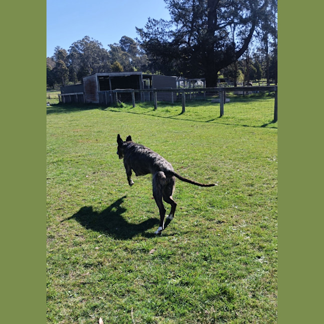 Photo of Ralph