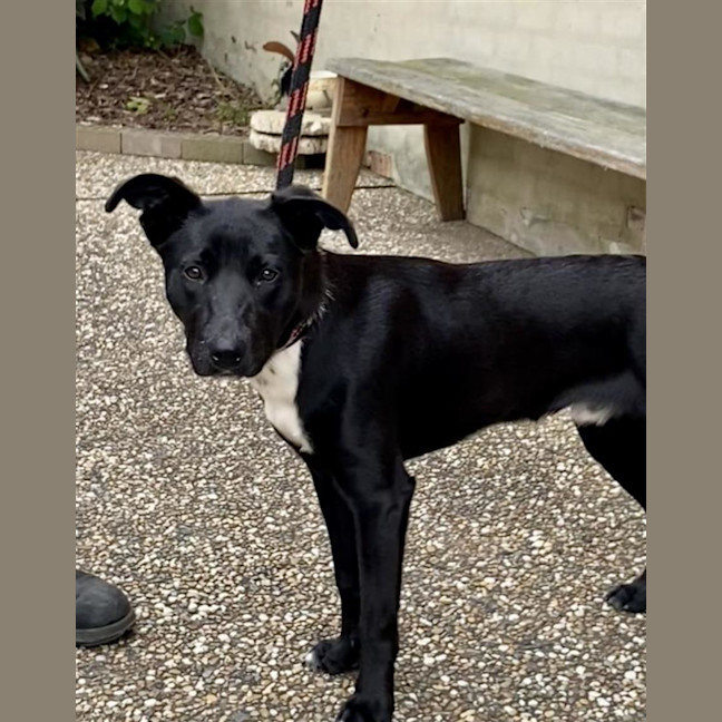 Photo of Frankie (With Dom)