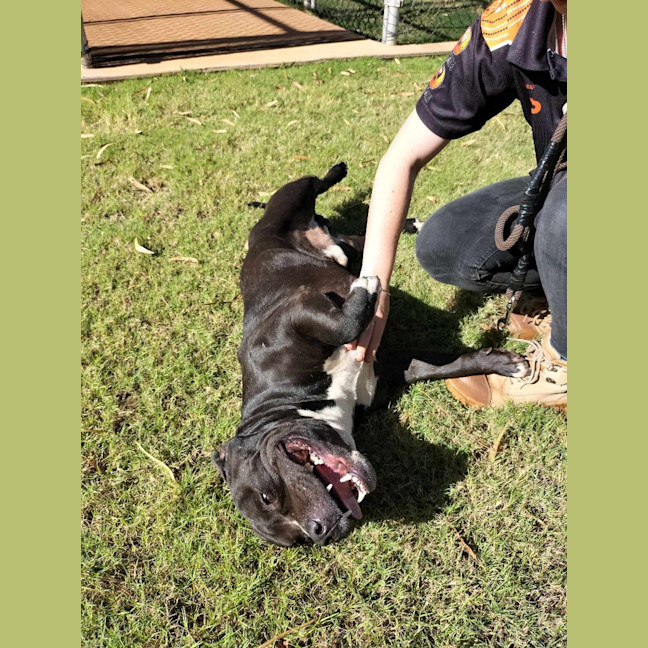 Photo of Oodie (Muggsy)