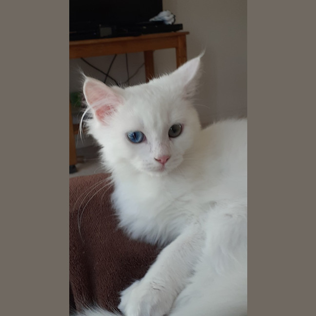 Photo of Timmy