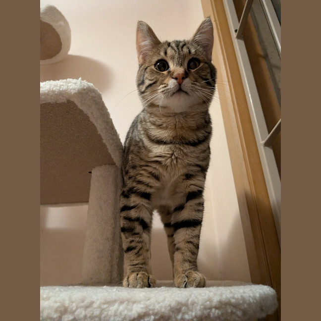 Photo of Wilder