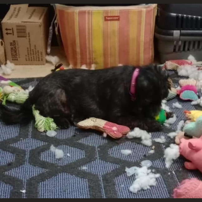 Photo of Bearboo And Melli