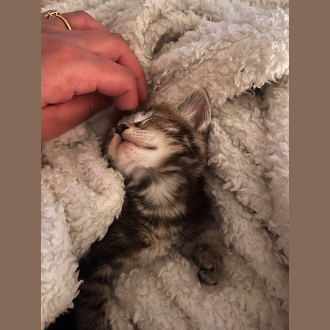 Photo of Mia