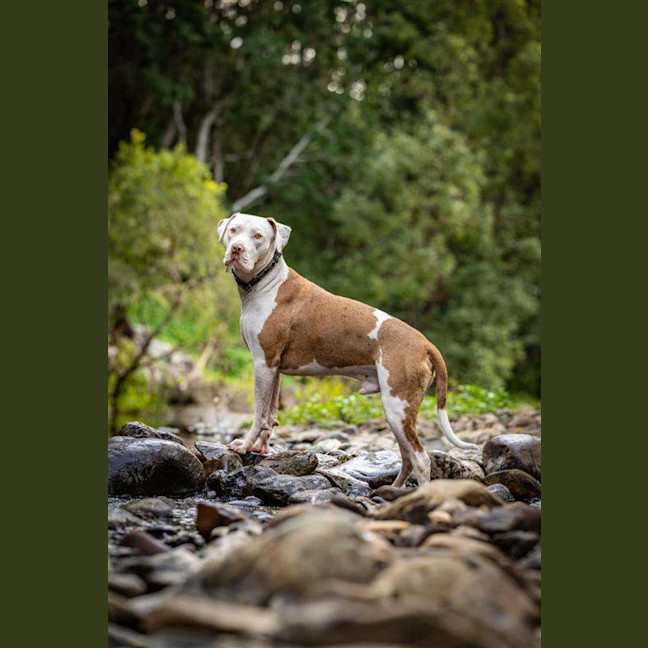 Photo of Odin