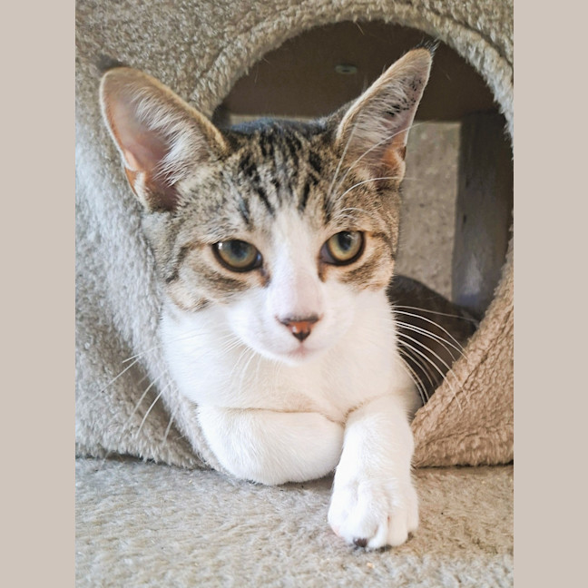 Photo of Gus