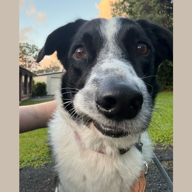 Photo of Buster