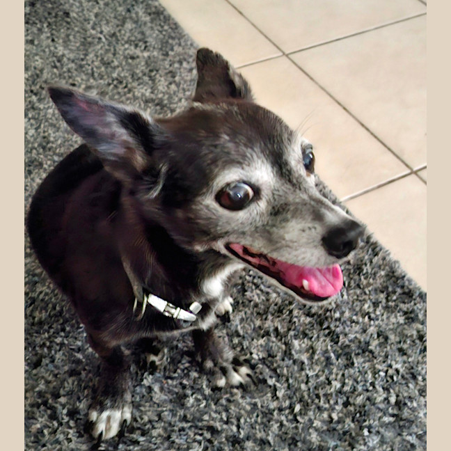 Photo of Minnie