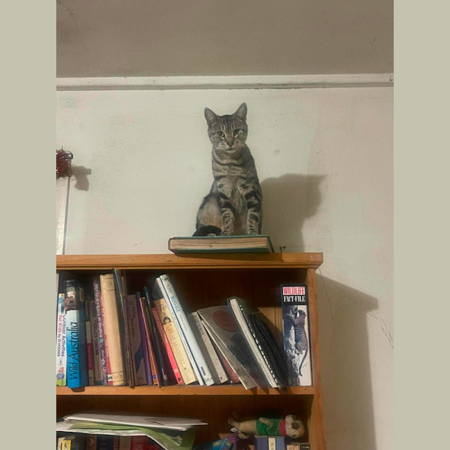 Photo of Leo