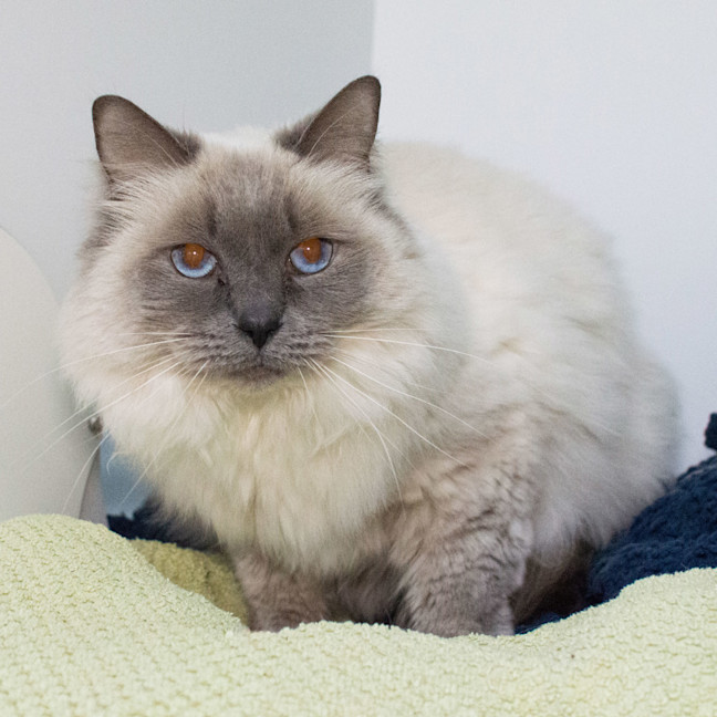 Photo of Narla