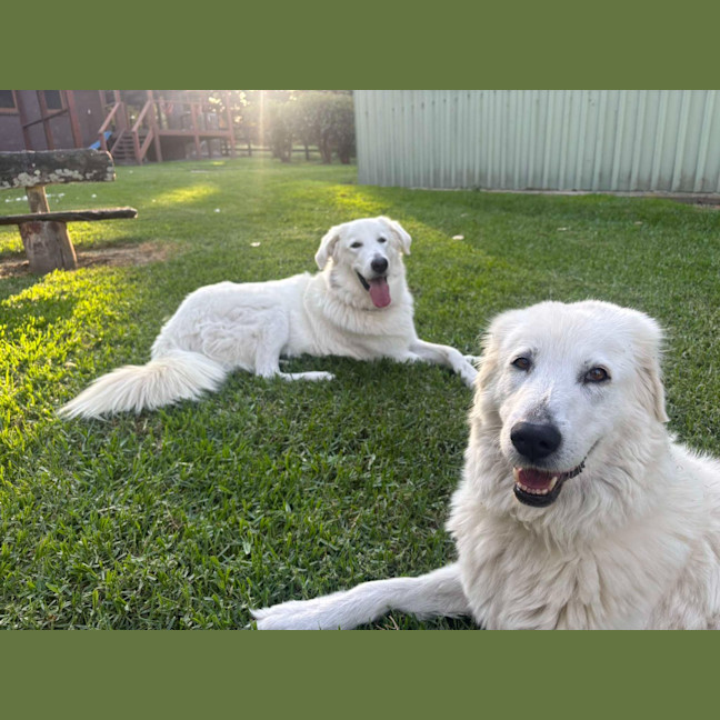 Photo of Nellie