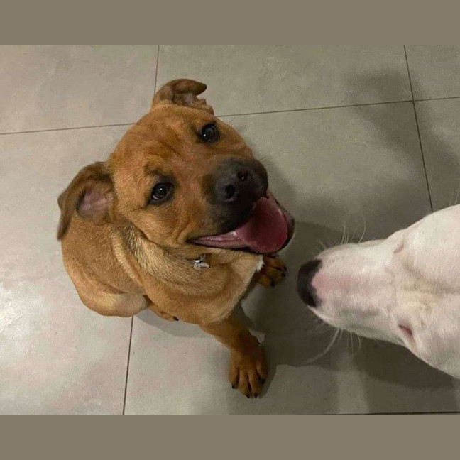 Photo of Skye Peggotty