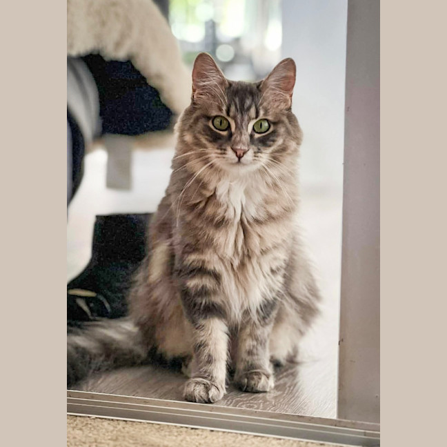 Photo of Fleur