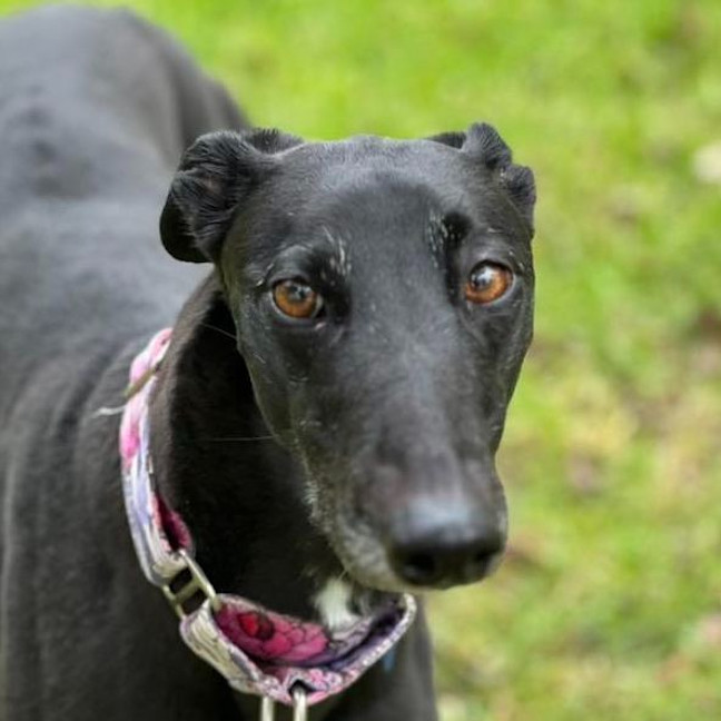 Photo of Tinker Bell