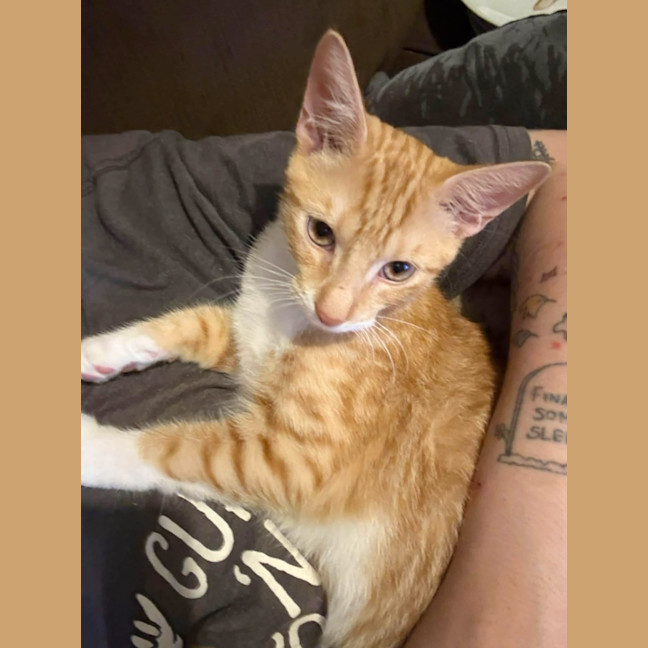 Photo of Kevin & Cheddar 