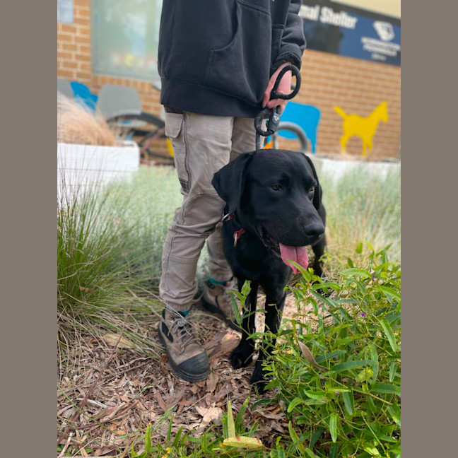 Photo of 🍕 Russell 5570🍕