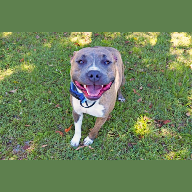Photo of Storm