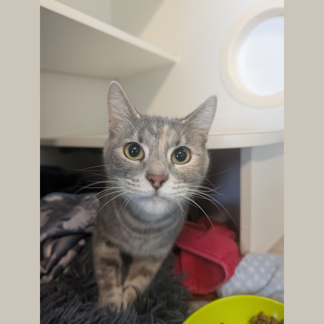 Photo of Lilly