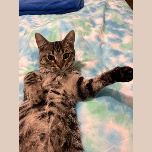 Photo of Mack