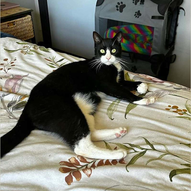 Photo of Rubeus