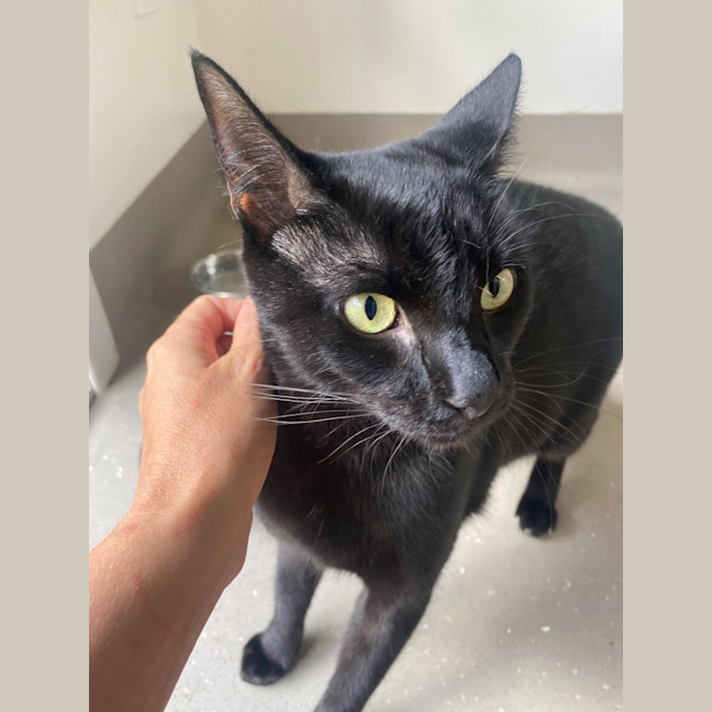 Photo of C1403 Mario