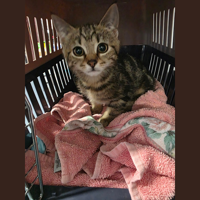 Photo of Dorothy