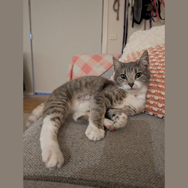 Photo of Leeloo