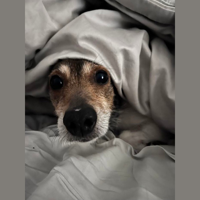 Photo of Charlie