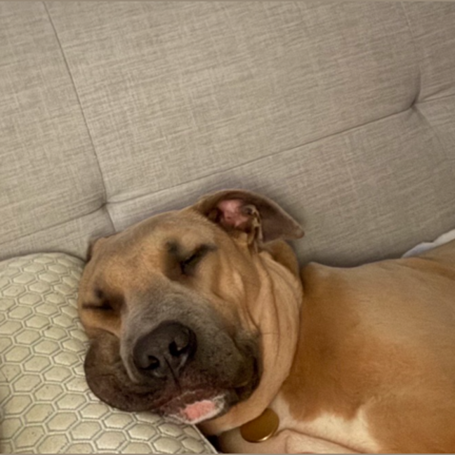 Photo of Zeus