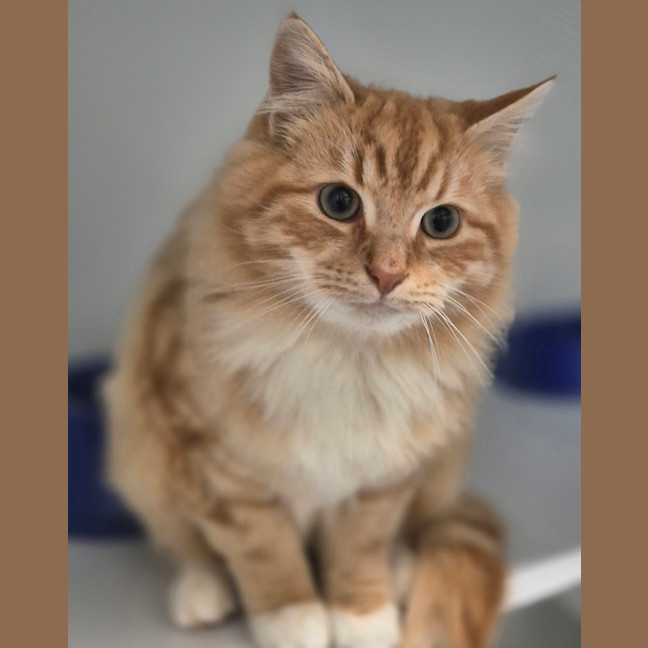 Photo of Percy