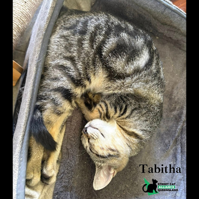 Photo of Tabitha