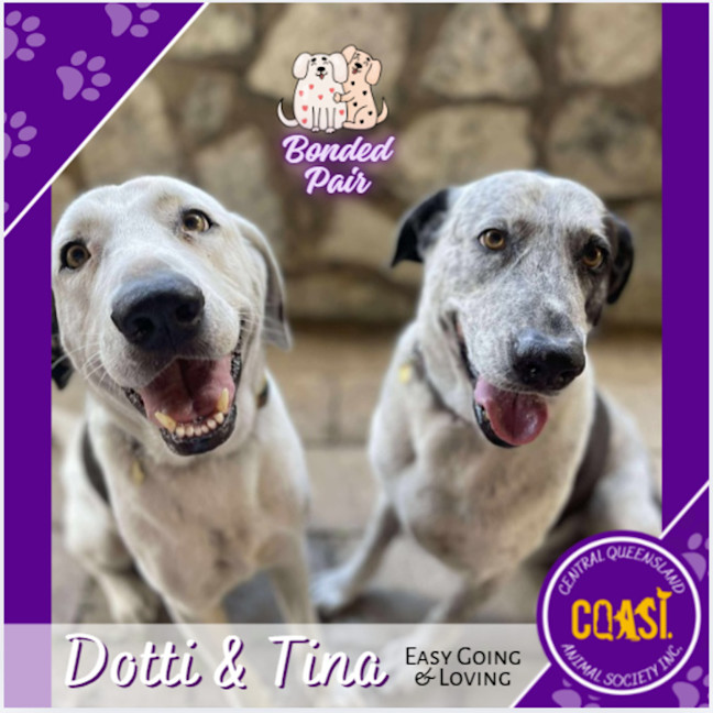 Photo of Dotti And Tina