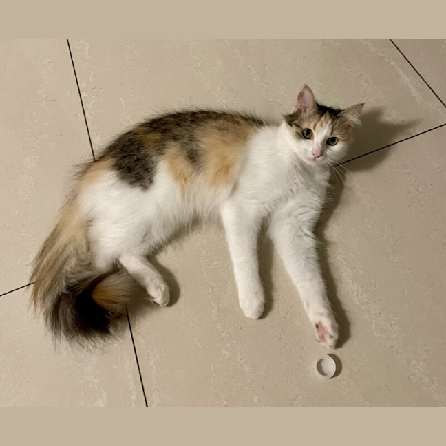 Photo of Kumi
