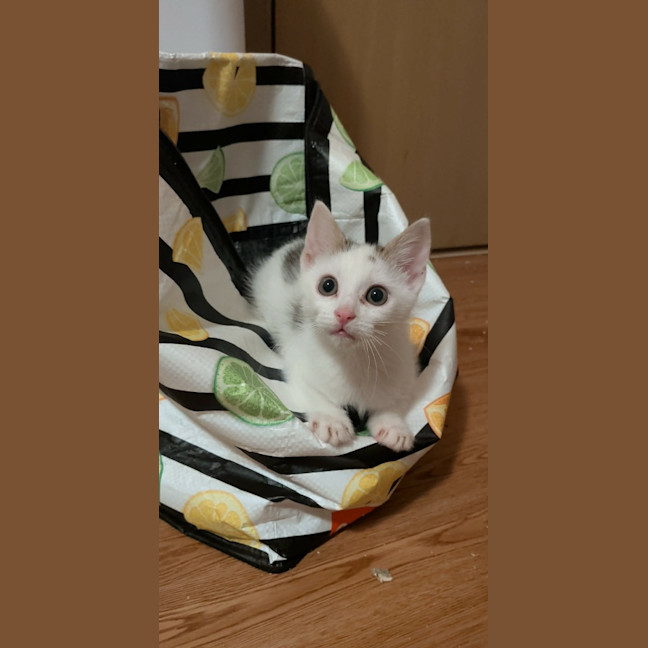 Photo of Kevin