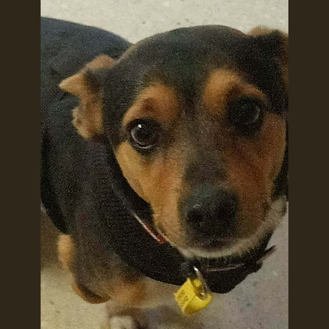 Photo of Maxi 